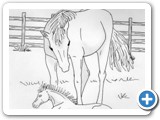 marfoal1