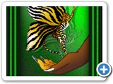 butterfly_tiger_framed