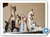 siamese-cat-light_kitty-sets_500