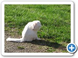 500_03-30-09_2687