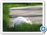 500_04-09-09_2786