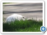 500_04-09-09_2787