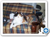 Patches: Alright, if you must get another pic of my beautiful face!
