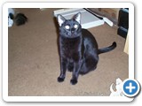 Shadow: What did you say?