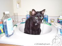 Midnight in bathroom sink