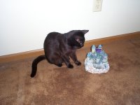 Ok, where is that water coming from?