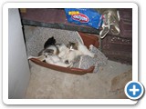 500_7-11-07_0135