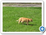 500_04-05-09_2753
