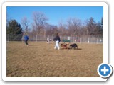 24_dog_park_500