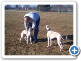 7_lady_rasby_boston_500