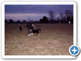 02-23-04_041Sheba & Gene, 2 years old, owned by Gene & Kaycy