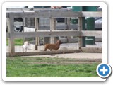 04-04-12_5897