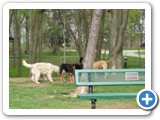 04-04-12_5907