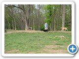 04-04-12_5908