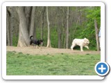04-04-12_5909