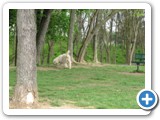 04-04-12_5910