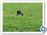 04-04-12_5928