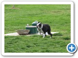 04-04-12_5934