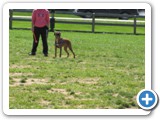04-06-12_6043
