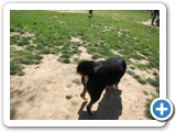 04-06-12_6046  Sheba