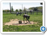 04-06-12_6075