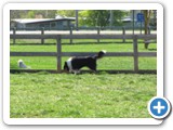 04-06-12_6120