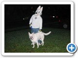 500_10-31-06_008 Gene in costume on Halloween night with his white German shepherd, Crystal.