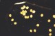 This photo is of the M. altispinosa eggs