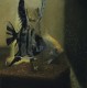 The pair of Pterophyllum scalare with swarm of fry.